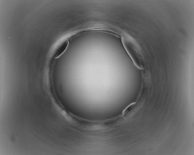 X0000114611464200910200929
