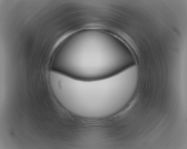 X0000114611465200910200929