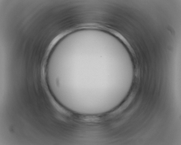 X0000114611466200910200929