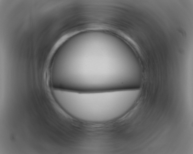 X0000114611467200910200929