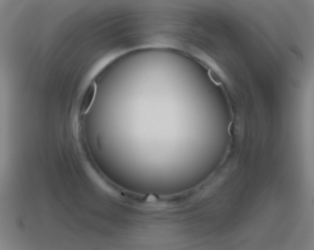 X0000114611468200910200929