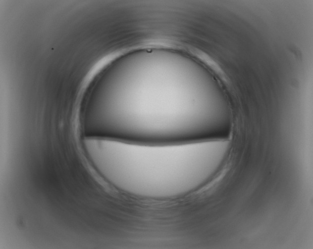 X0000114611469200910200929