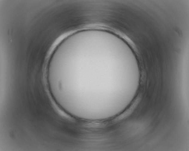 X0000114611470200910200929