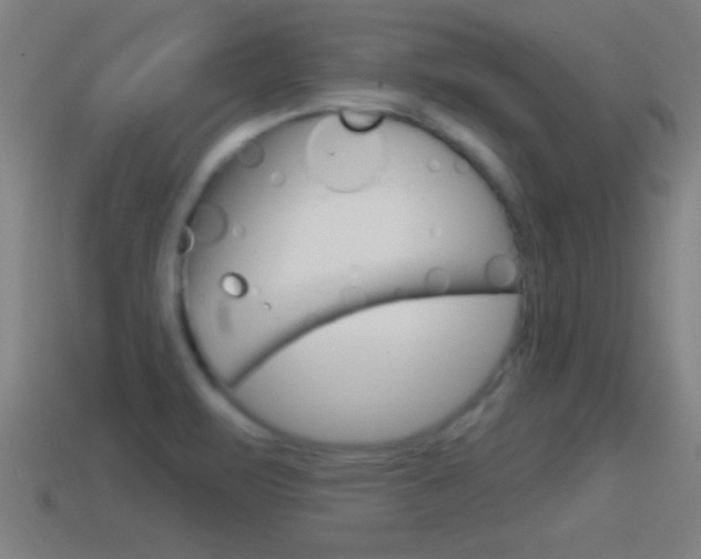 X0000114611471200910200929