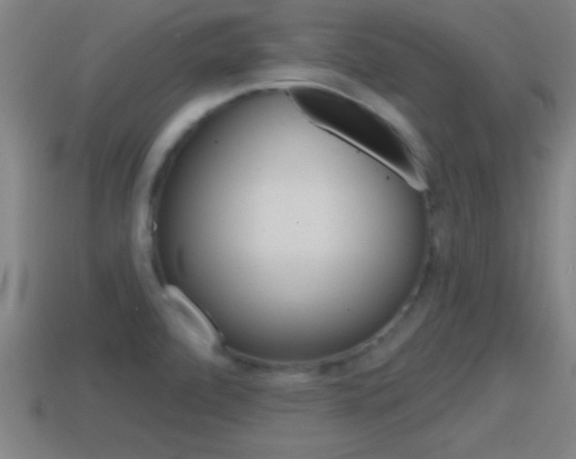 X0000114611472200910200929