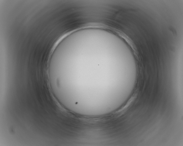 X0000114611473200910200929