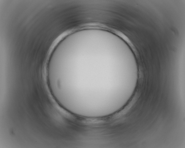 X0000114611474200910200929