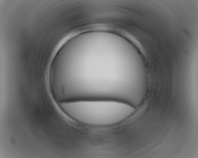 X0000114611475200910200929