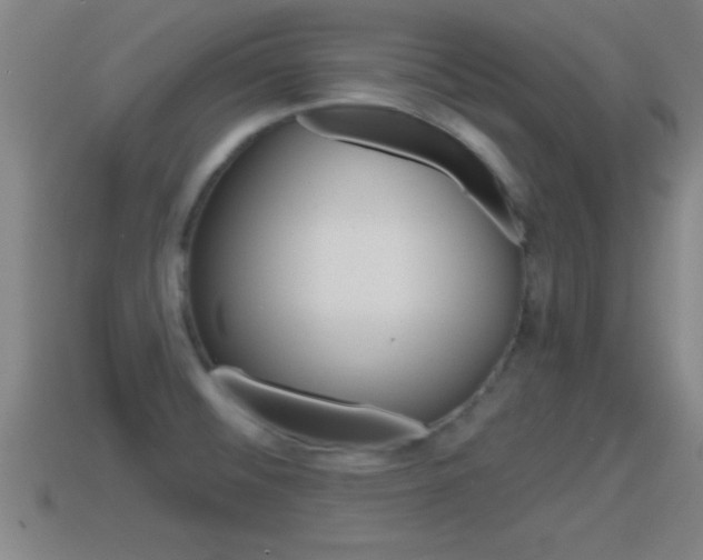 X0000114611476200910200929