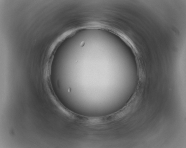 X0000114611477200910200929