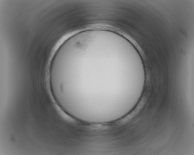 X0000114611478200910200929
