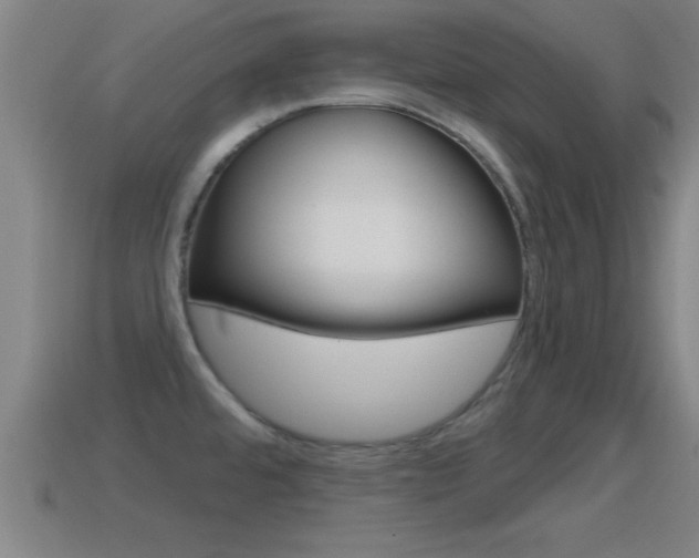 X0000114611480200910200929