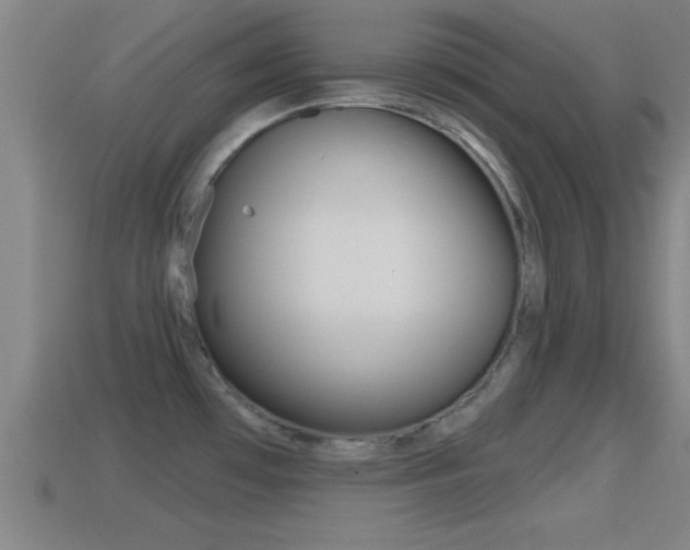 X0000114611481200910200929