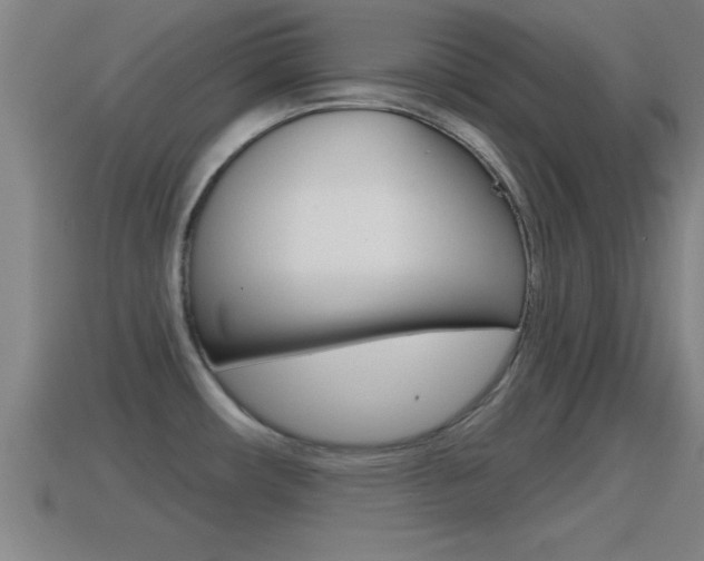 X0000114611482200910200929