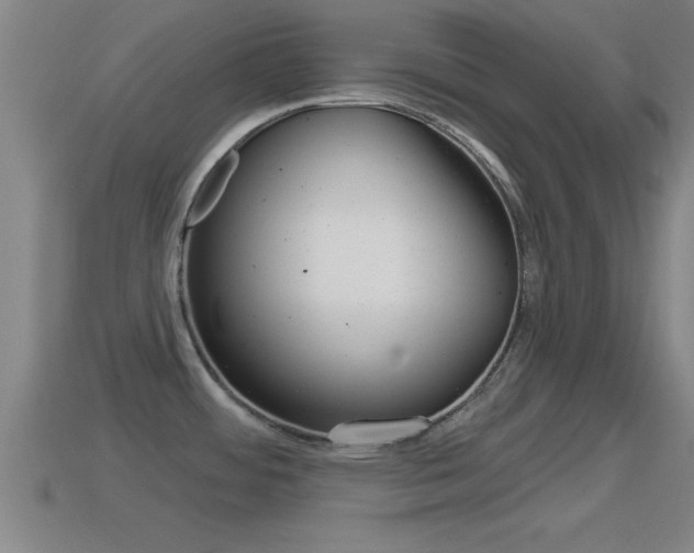 X0000114611484200910200929