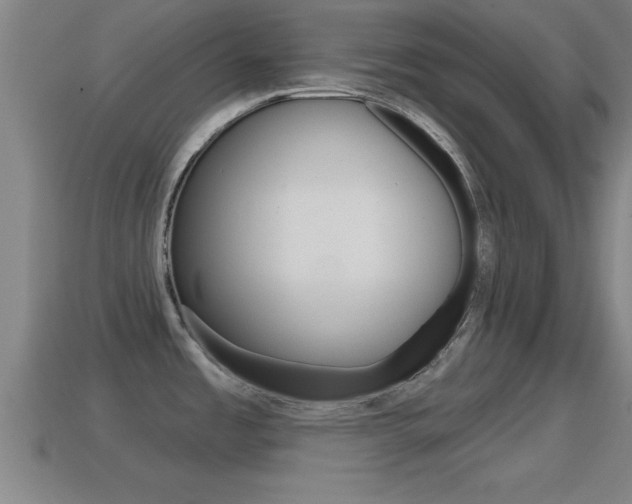X0000114611485200910200929