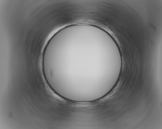 X0000114611486200910200929