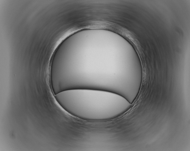 X0000114611487200910200929