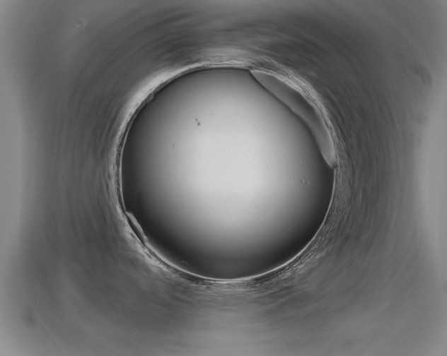 X0000114611488200910200929