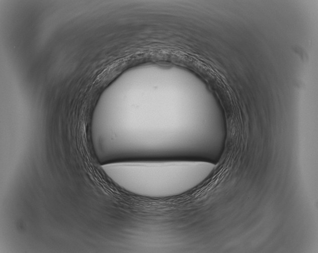 X0000114611489200910200928