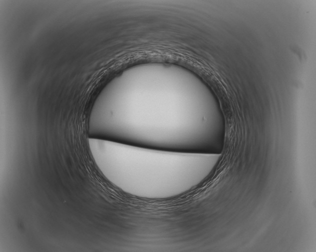 X0000114611490200910200928