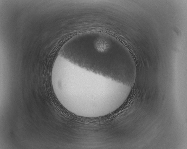 X0000114611491200910200928