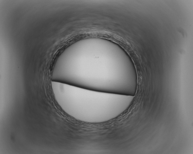 X0000114611493200910200928