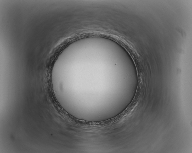 X0000114611494200910200928