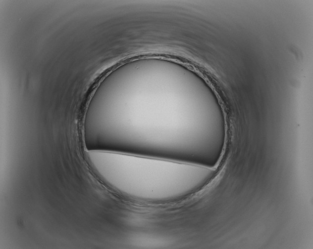 X0000114611497200910200928