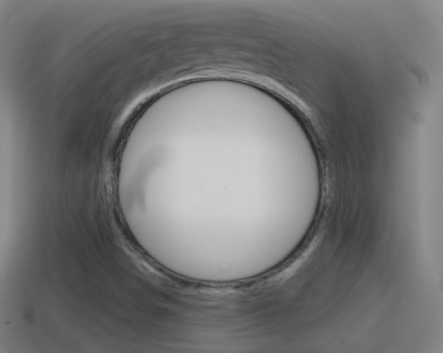 X0000114611498200910200928