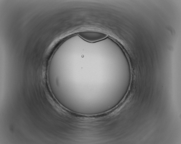 X0000114611499200910200928