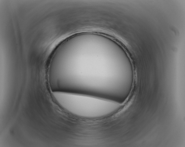 X0000114611501200910200928