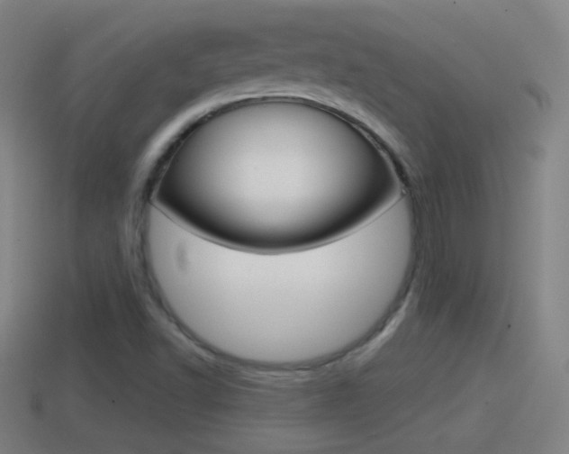 X0000114611502200910200928