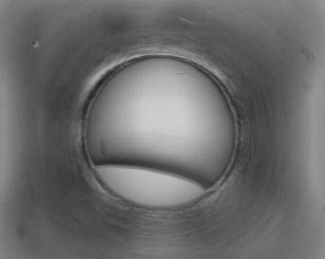 X0000114611503200910200928