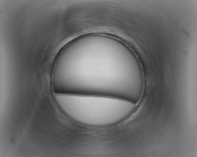 X0000114611505200910200928