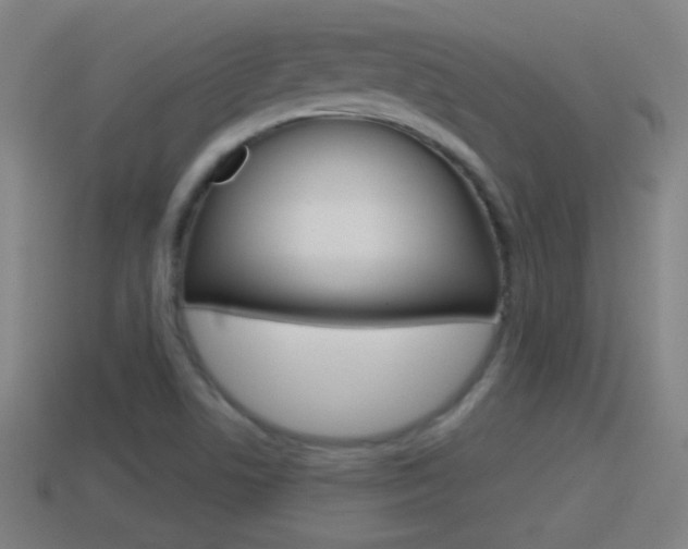 X0000114611506200910200928