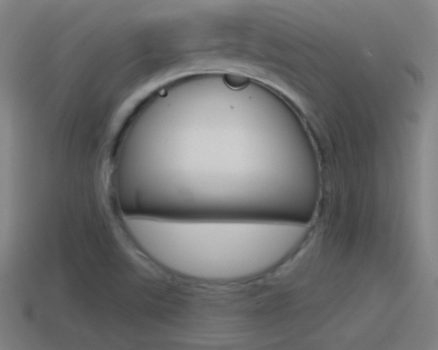 X0000114611507200910200928