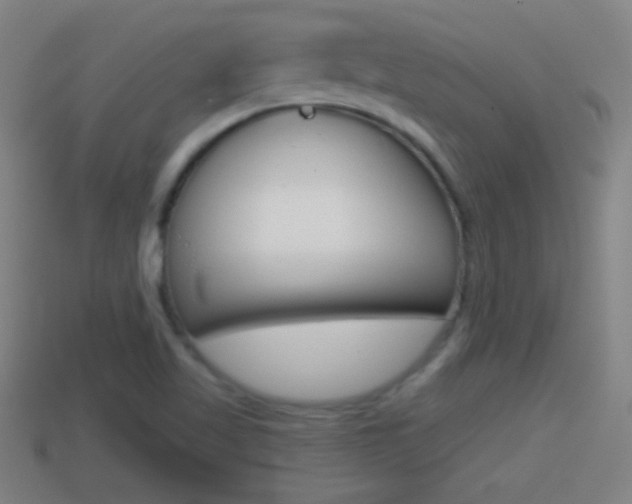 X0000114611509200910200928