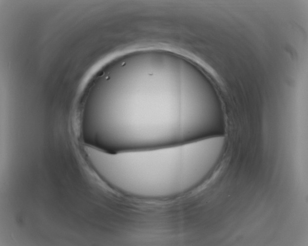 X0000114611510200910200928