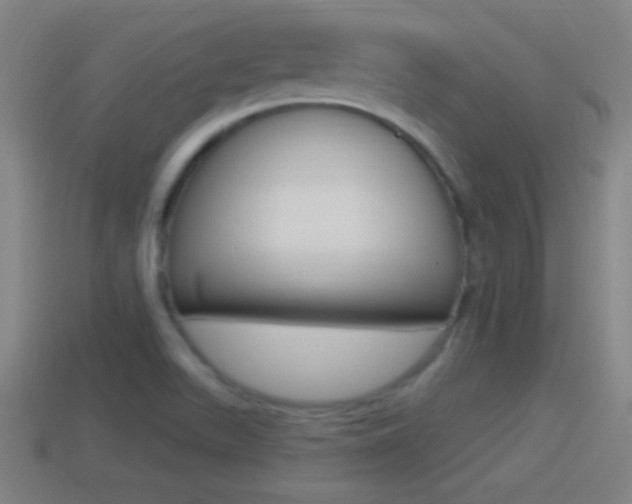 X0000114611511200910200928