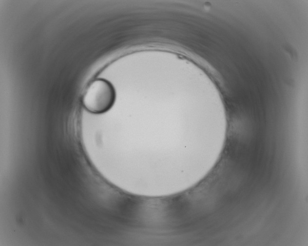 X0000114611514200910200928