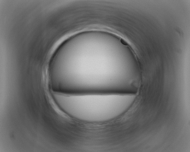 X0000114611515200910200928