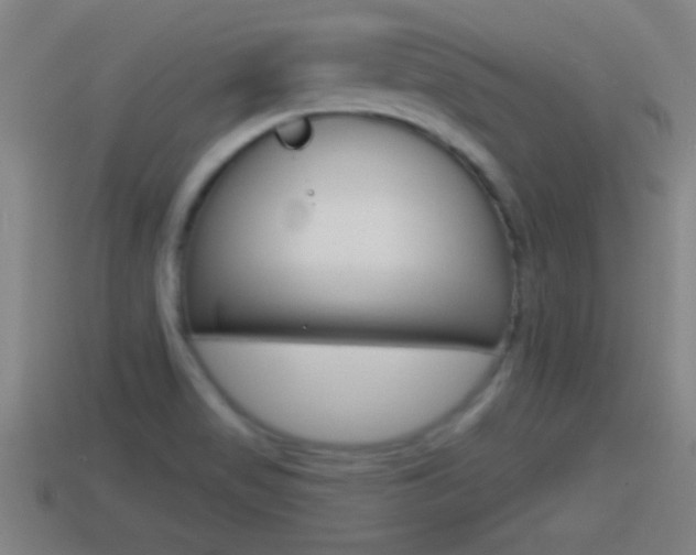 X0000114611517200910200929