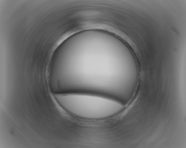 X0000114611521200910200929