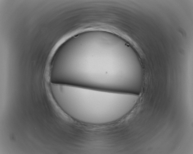 X0000114611522200910200929
