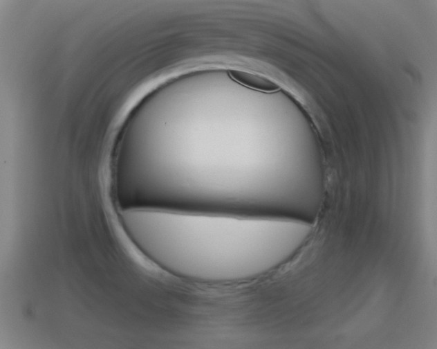 X0000114611523200910200929