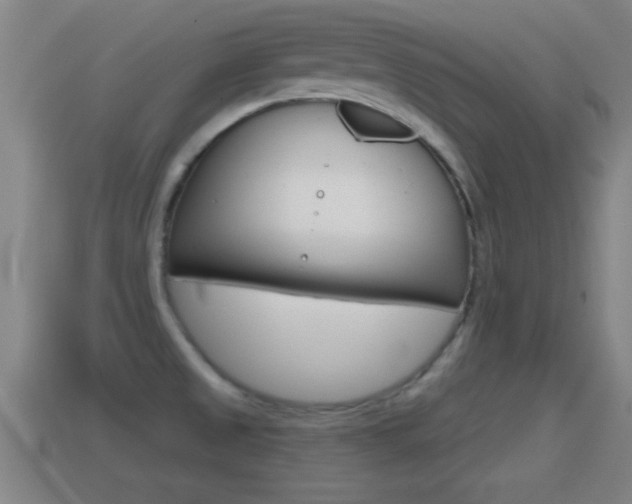 X0000114611525200910200929