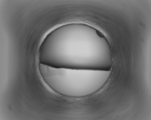 X0000114611526200910200929