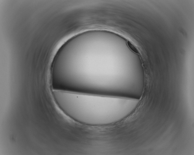 X0000114611527200910200929