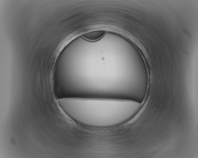 X0000114611529200910200929
